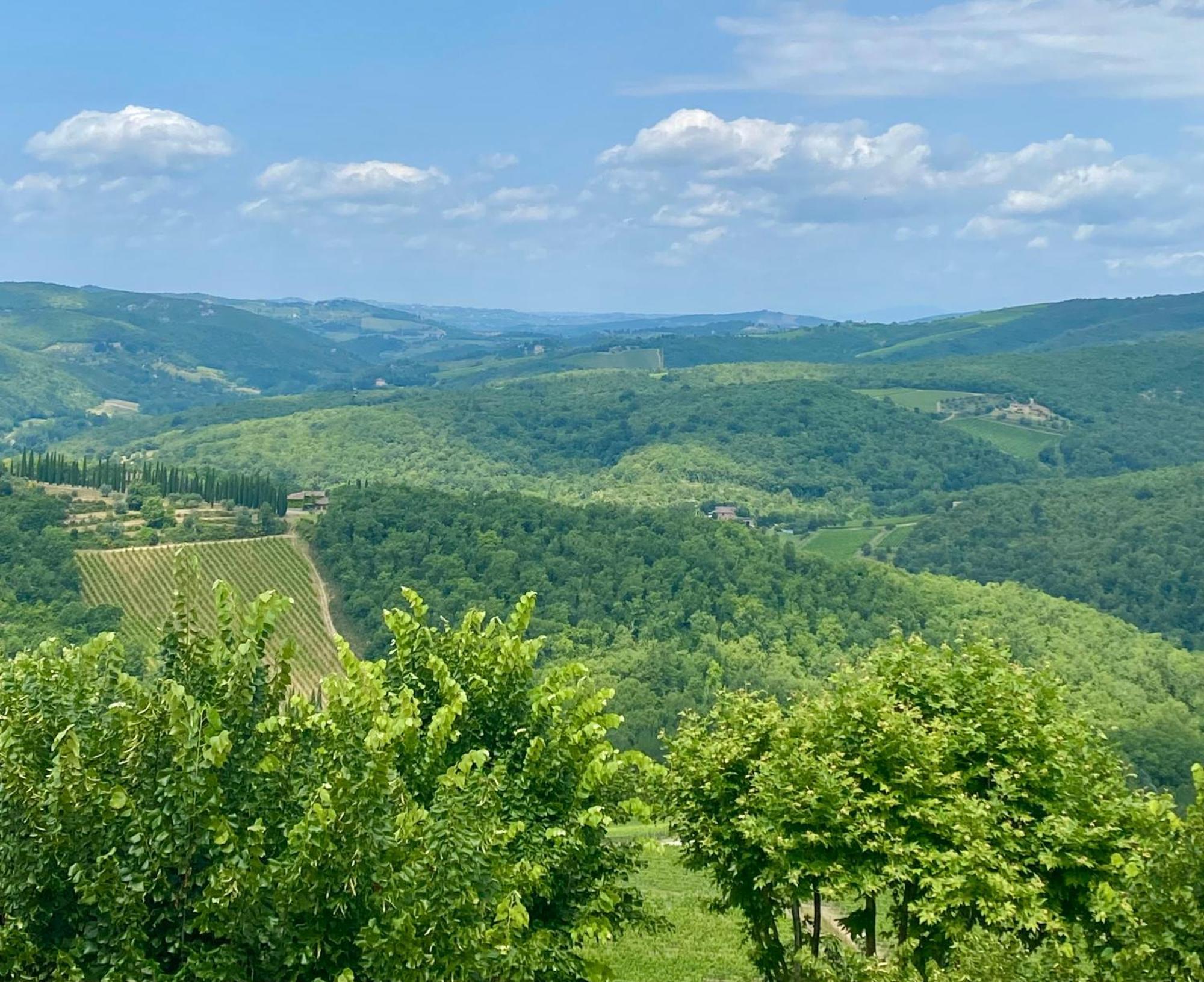 Vila Casa Marina Radda in Chianti Exteriér fotografie
